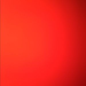 Meet your Posher, Dillon